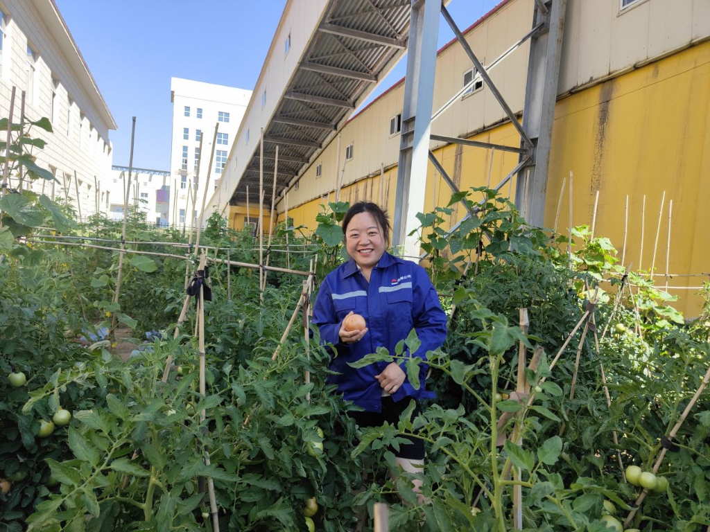 微信图片_20230828152235.png 微信图片_20230828152235.png